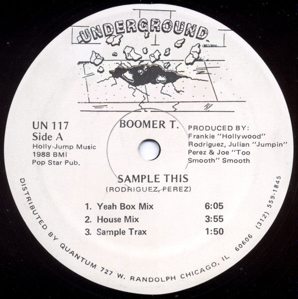 Sample This