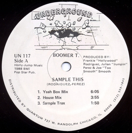 Sample This