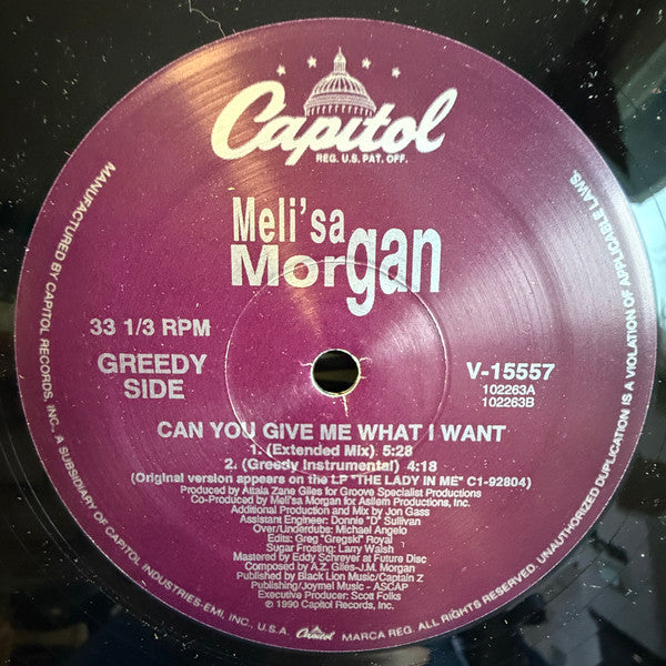 Can You Give Me What I Want Meli'sa Morgan