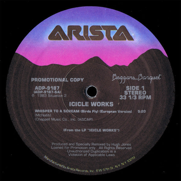 Whisper To A Scream (Birds Fly) The Icicle Works