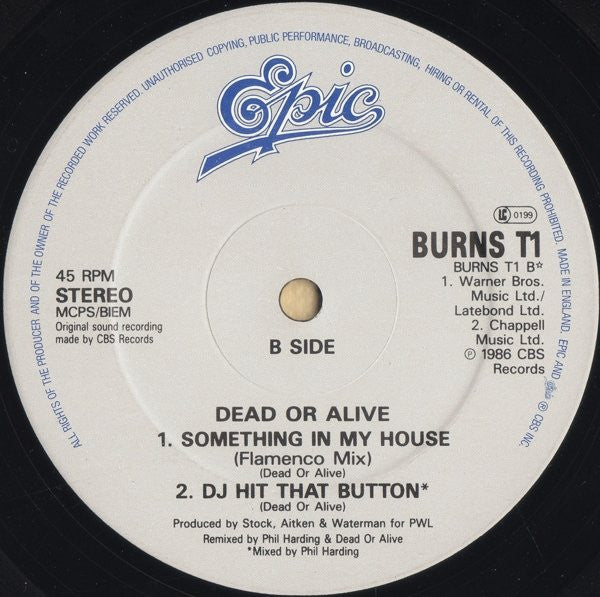 Something In My House (Mortevicar Mix) Dead Or Alive