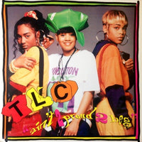 TLC - Ain't 2 Proud 2 Beg, 12" vinyl, on LaFace Records (1992)