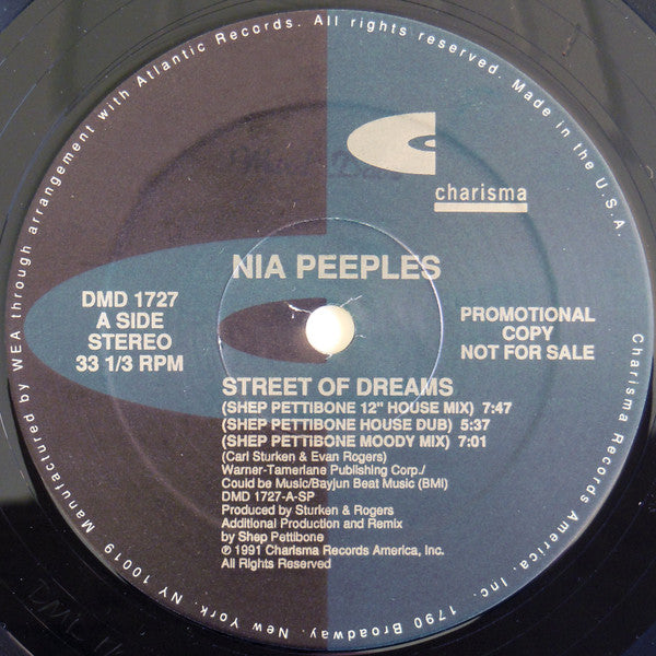 Street Of Dreams Nia Peeples