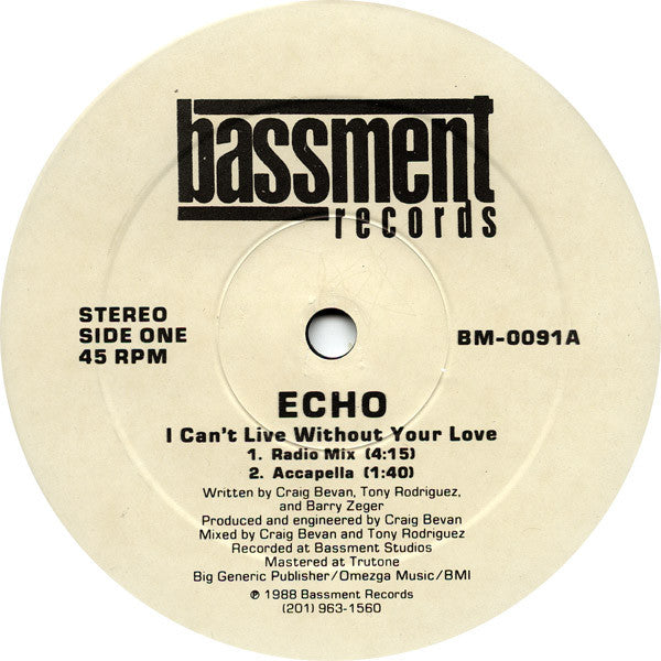 I Can't Live Without Your Love Echo (5)