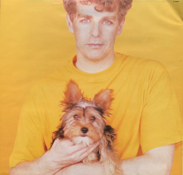 Introspective Pet Shop Boys
