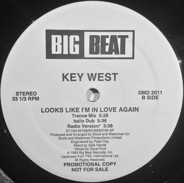 Looks Like I'm In Love Again Key West