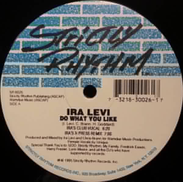 Do What You Like Ira Levi