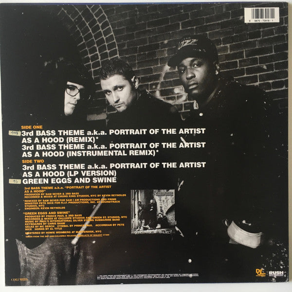 3rd Bass Theme A.K.A. Portrait Of The Artist As A Hood