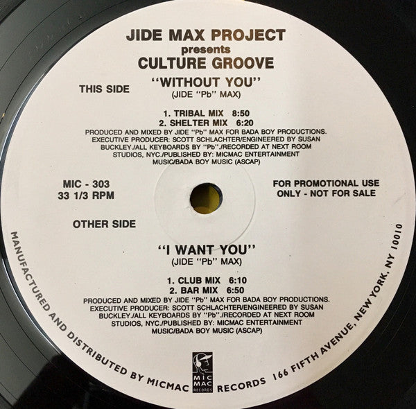 Without You  / I Want You Jide Max Project,Culture Groove (2)