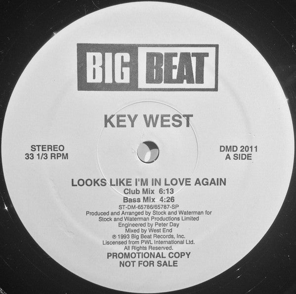 Looks Like I'm In Love Again Key West