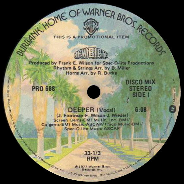 Deeper New Birth
