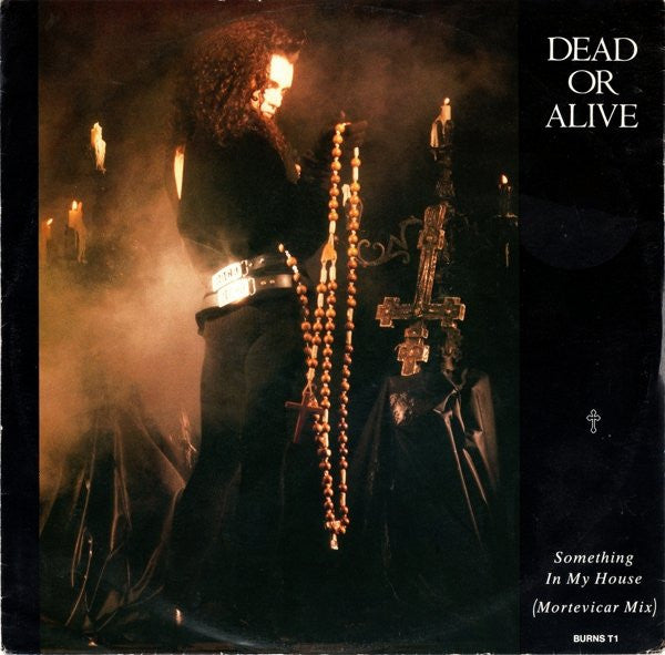 Something In My House (Mortevicar Mix) Dead Or Alive