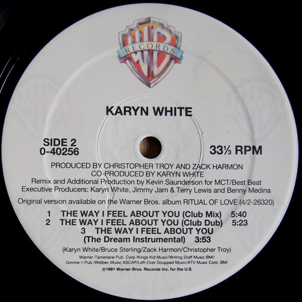 The Way I Feel About You Karyn White