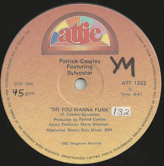Do You Wanna Funk
