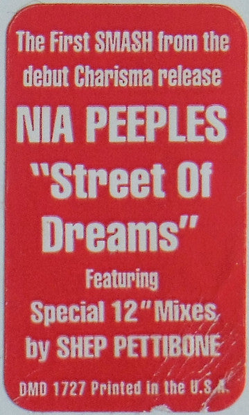 Street Of Dreams Nia Peeples