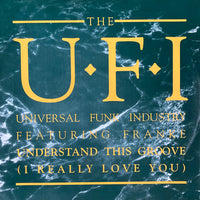 UFI,Frankë Pharoah - Understand This Groove (I Really Love You), 12" vinyl, on Virgin (1990)