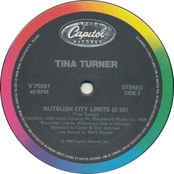 Private Dancer Tina Turner