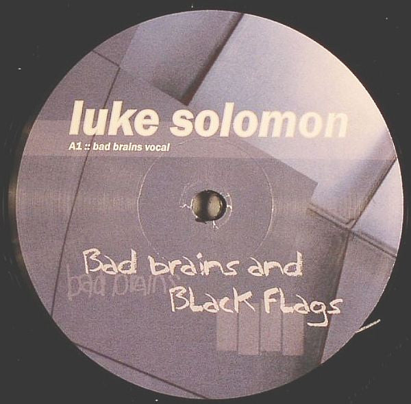 Bad Brains And Black Flags Luke Solomon