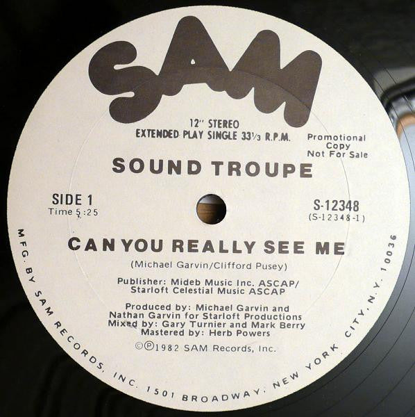 Can You Really See Me Sound Troupe