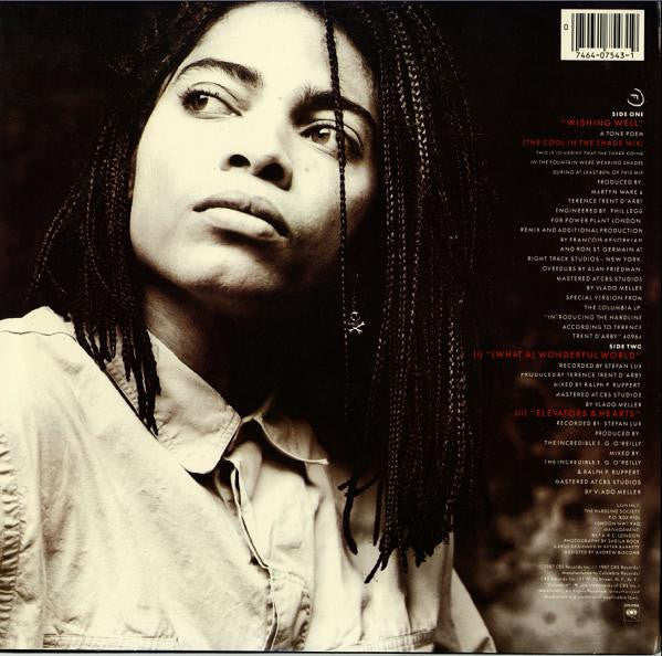 Wishing Well (The Cool In The Shade Mix) Terence Trent D'Arby