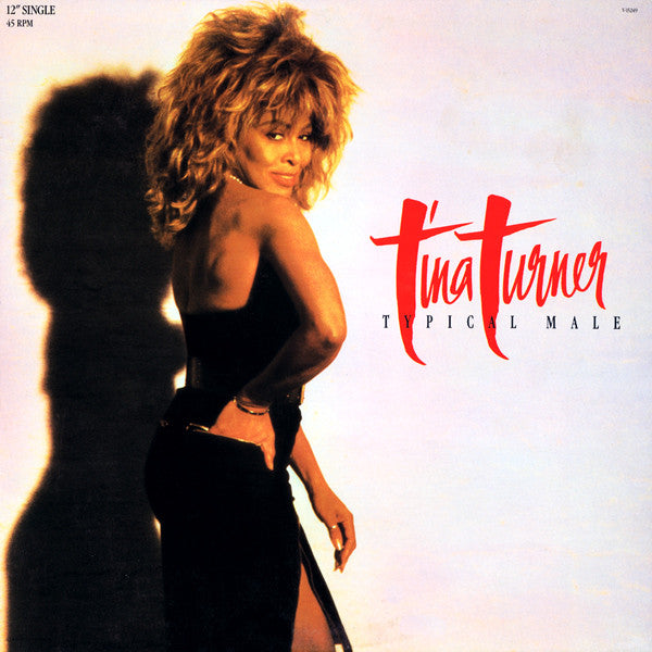 Typical Male (Dance Mix) Tina Turner