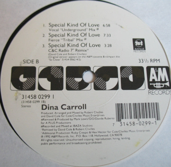 Special Kind Of Love Dina Carroll
