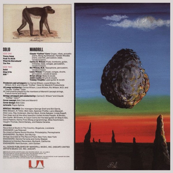 Solid | Rectangle Triangle  