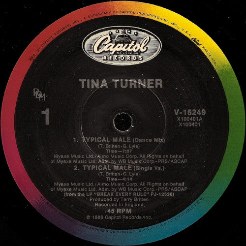 Typical Male (Dance Mix) 2 Tina Turner