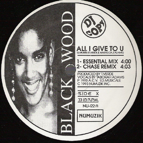 All I Gave To You / I Won't Let You Down