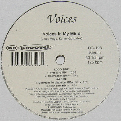 Voices In My Mind