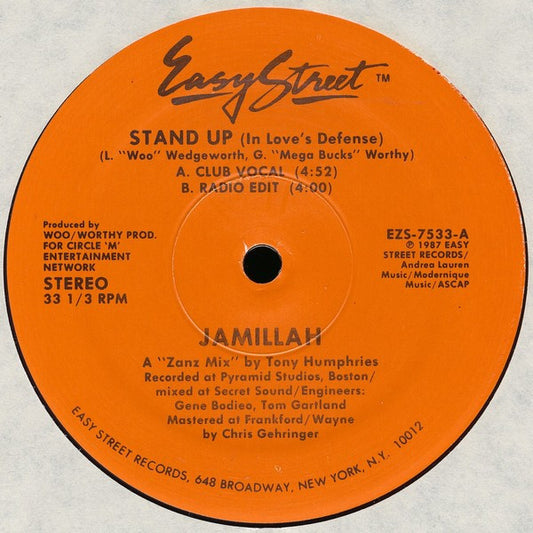 Stand Up (In Love's Defense)