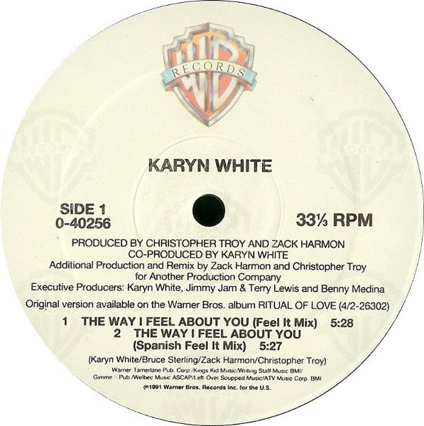 The Way I Feel About You Karyn White