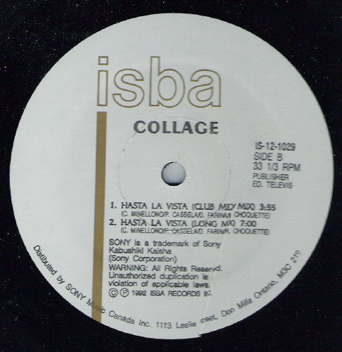 Hasta La Vista Collage (7)