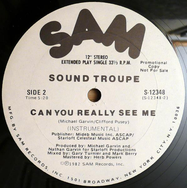 Can You Really See Me Sound Troupe