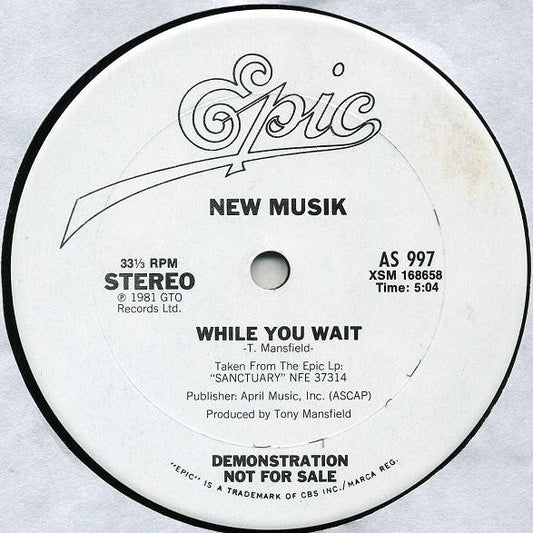 While You Wait / They All Run After The Carving Knife