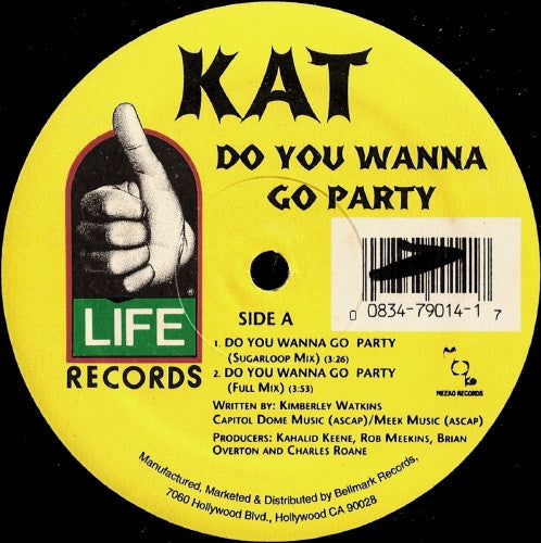 Do You Wanna Go Party