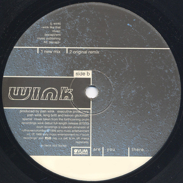 Are You There... Josh Wink