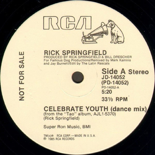 Celebrate Youth Rick Springfield