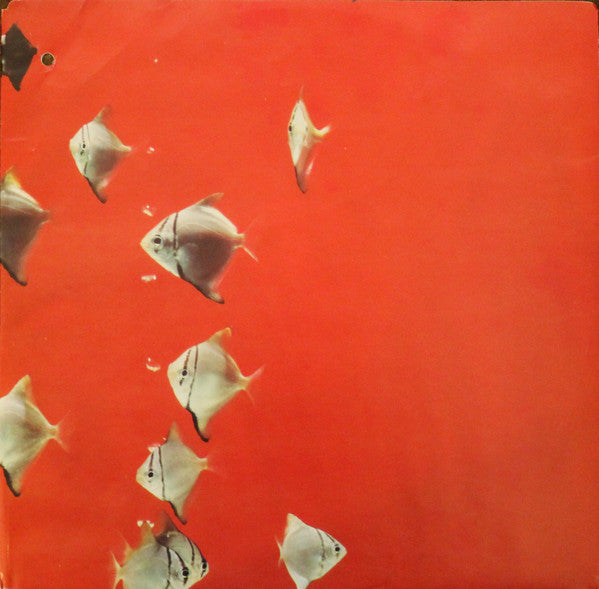 Swimmer The Big Dish