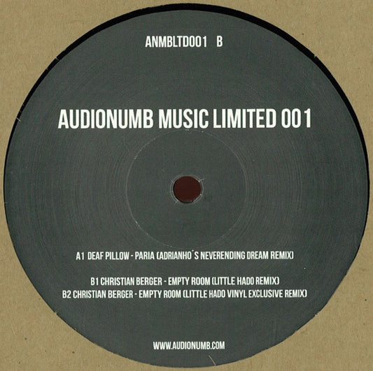 Various - Audionumb Music Limited 001