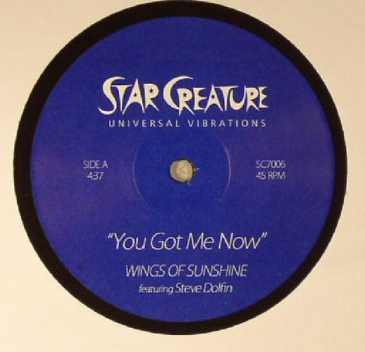 Wings Of Sunshine Featuring Steve Dolfin - You Got Me Now / Magic Of The Funk