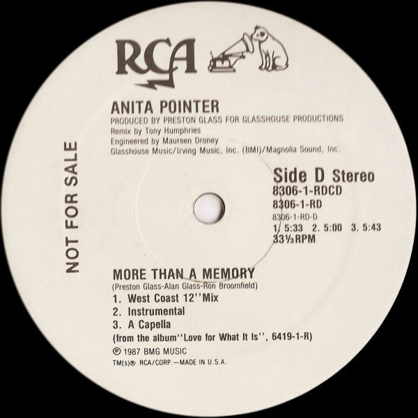More Than A Memory Anita Pointer