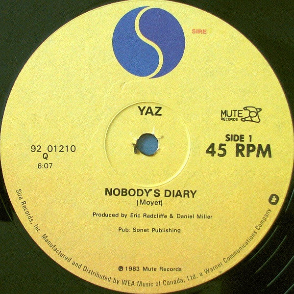 Nobody's Diary / State Farm Yazoo