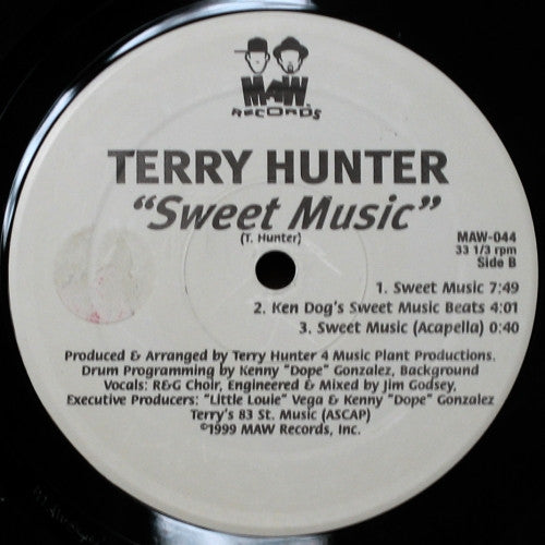 The Disco / Sweet Music 2 Terry Hunter