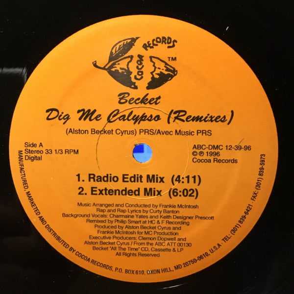 Dig Me Calypso 12" Remixes | Rectangle Triangle  