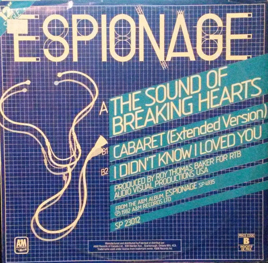 The Sound Of Breaking Hearts