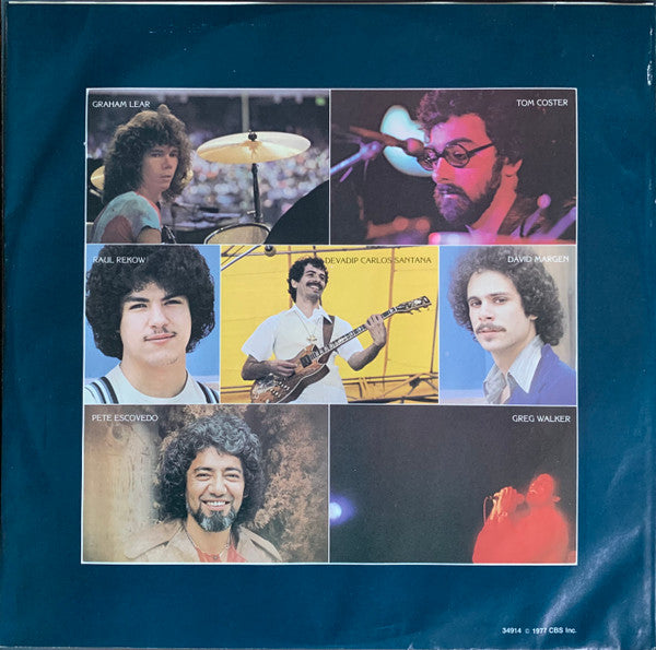 Moonflower | Rectangle Triangle  