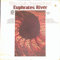A detailed map of the Euphrates River showcasing its course through the Middle East, with surrounding landscape features.