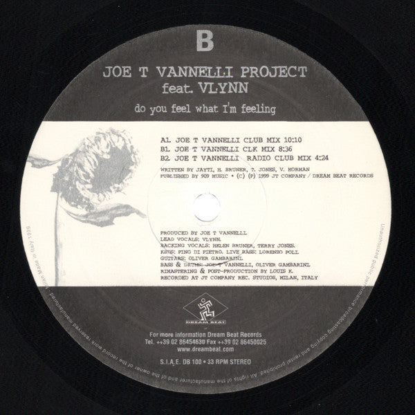 Do You Feel What I'm Feeling Joe T. Vannelli Project,Vlynn