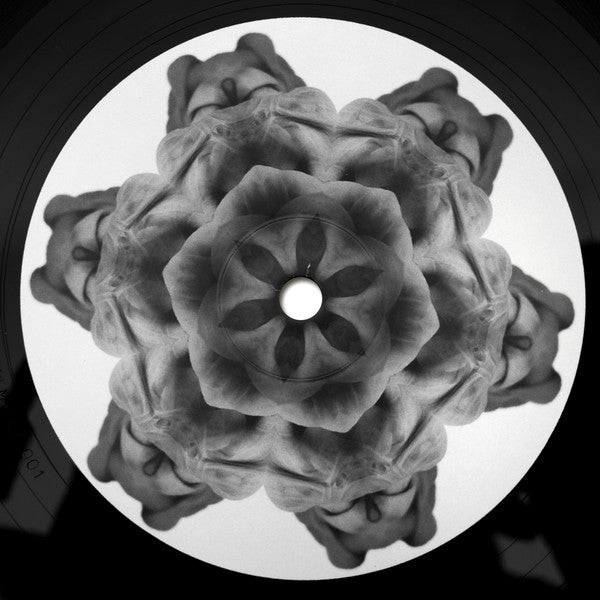 MOi (10) - 01